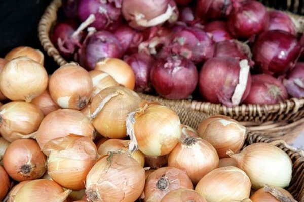 Супернет маркет кракен onion