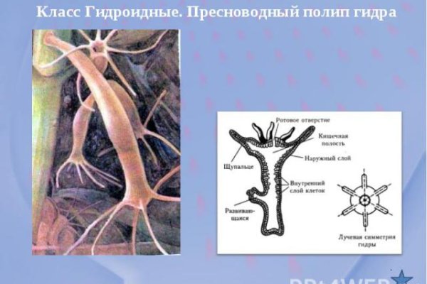 Супернет сайт скачать
