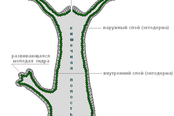 Kra49.at Вход на сайт главная страница