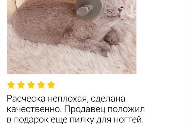 Кракен сайт что